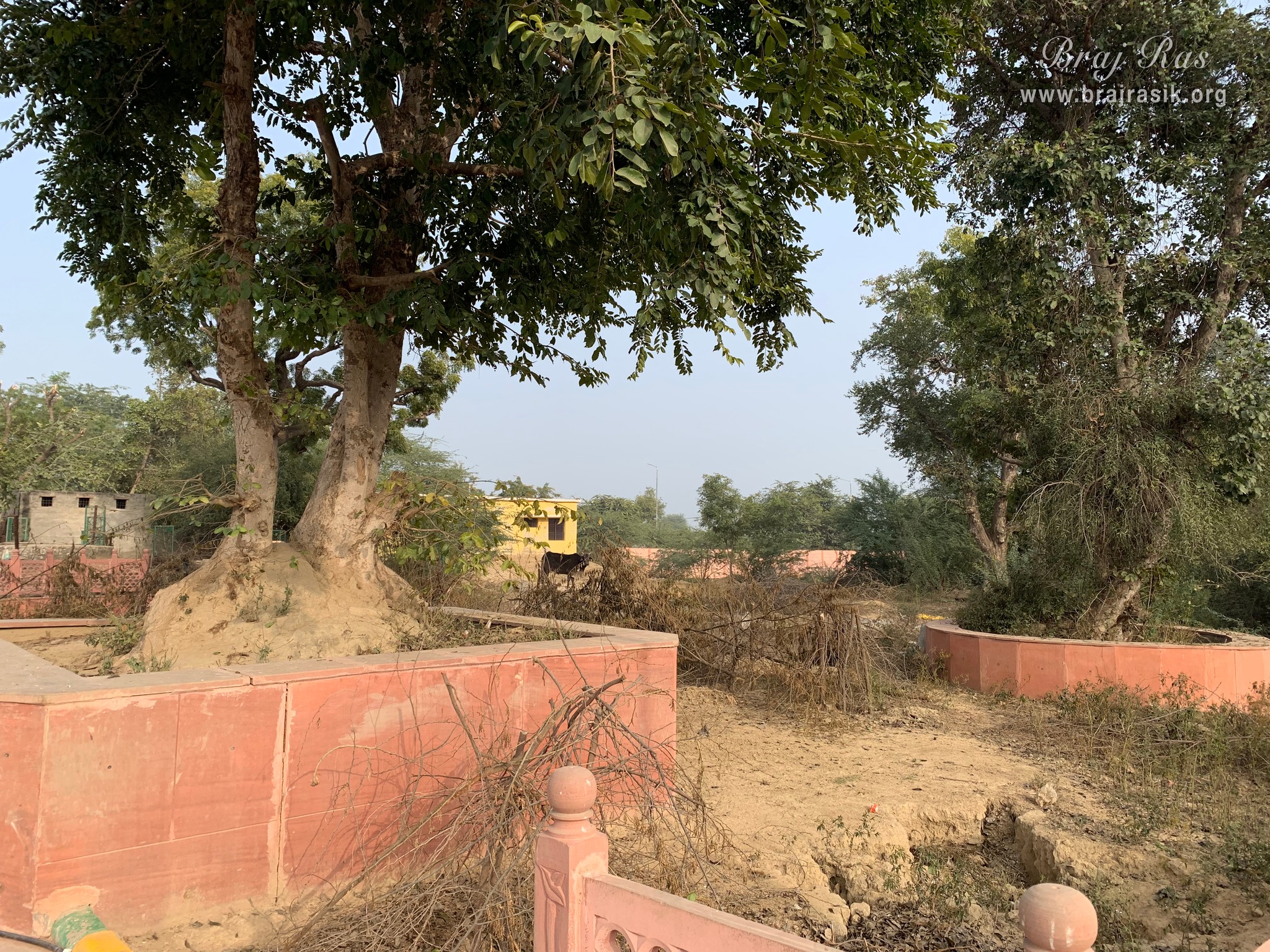 Forest view around Gulal Kund in Gantholi, Govardhan.