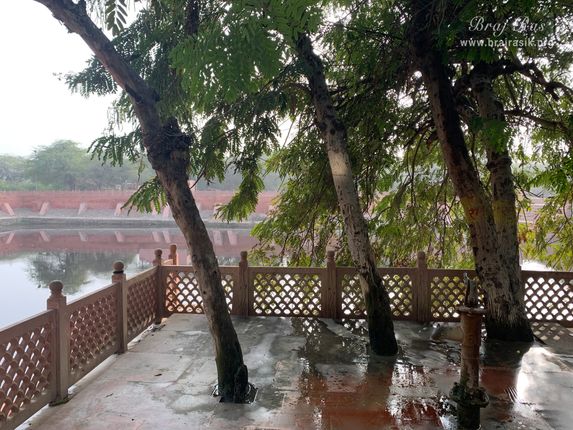 Beautiful Kadamb and Tamal trees surround Gulal Kund in Gantholi, Govardhan.
