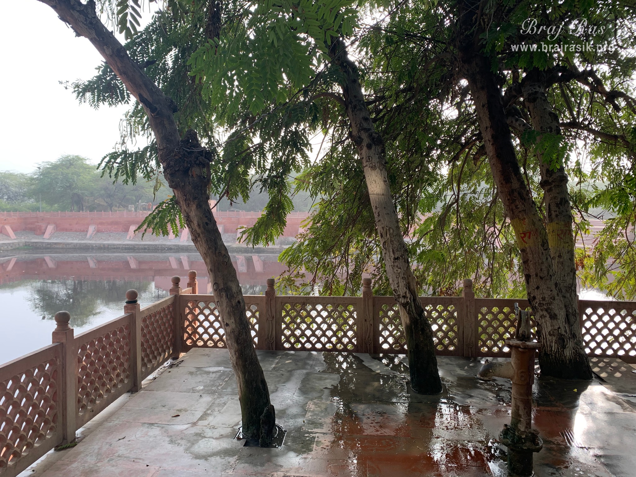 Beautiful Kadamb and Tamal trees surround Gulal Kund in Gantholi, Govardhan.