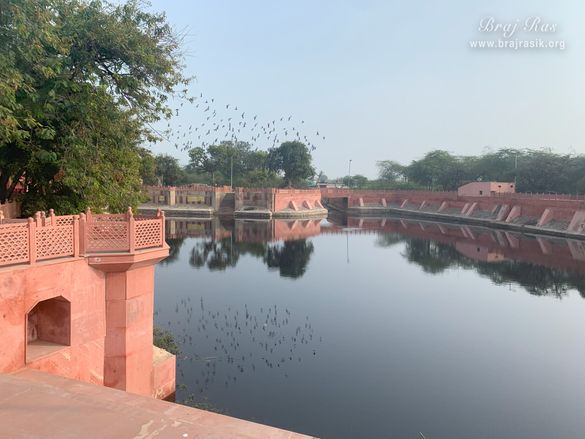 Different types of birds chirping at Gulal Kund in Gantholi, Govardhan.