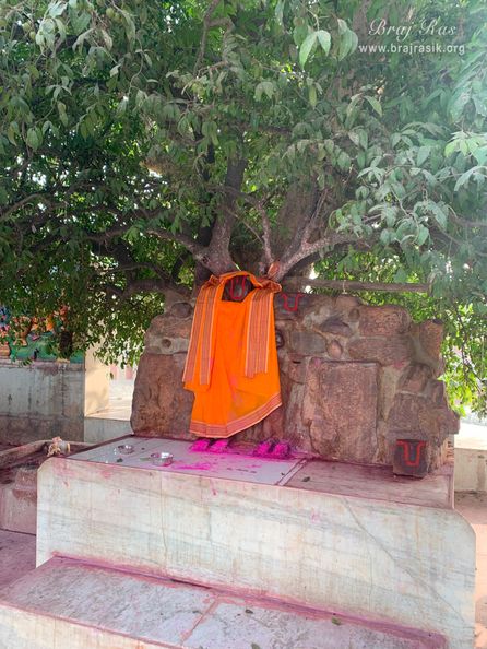 Darshan of Lord Giriraj Govardhan at Gulal Kund in Gantholi, Govardhan.