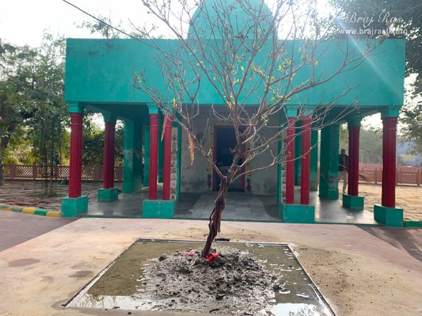 Darshan of Shanidev Temple at Gulal Kund in Gantholi, Govardhan.