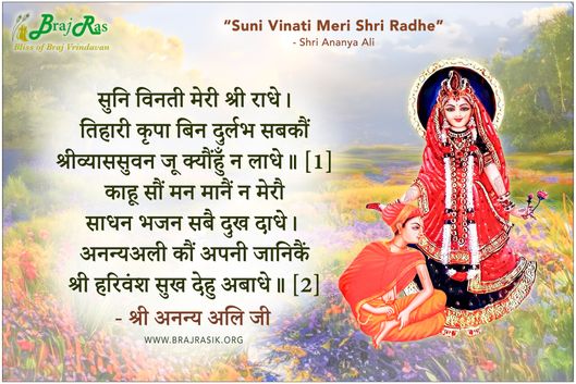 Suni Vinati Meri Shri Radhe - Shri Ananya Ali