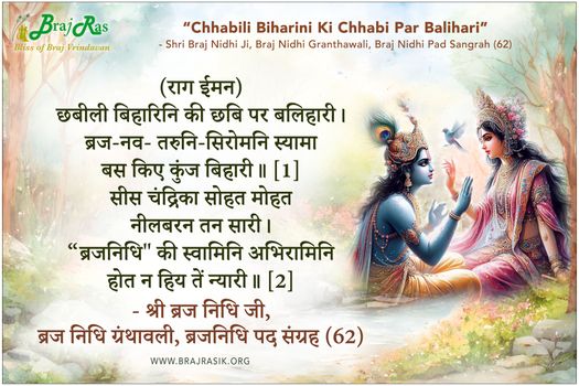 छबीली बिहारिनि की छबि पर बलिहारी - ब्रज निधि ग्रंथावली, ब्रजनिधि पद संग्रह (62)