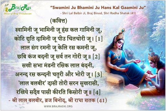 स्वामिनी जू भामिनी जू हंस कल गामिनी जू - श्री लाल बलबीर जी, ब्रज बिनोद, श्री राधा शतक (41)