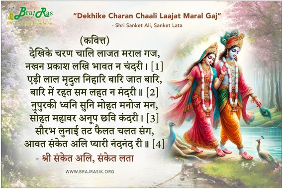 देखिके चरण चालि लाजत मराल गज - श्री संकेत अलि, संकेत लता