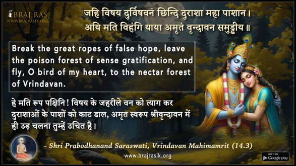 जहि विषय दुर्विषवनं - श्री प्रबोधानन्द सरस्वती, वृन्दावन महिमामृत (14.3)