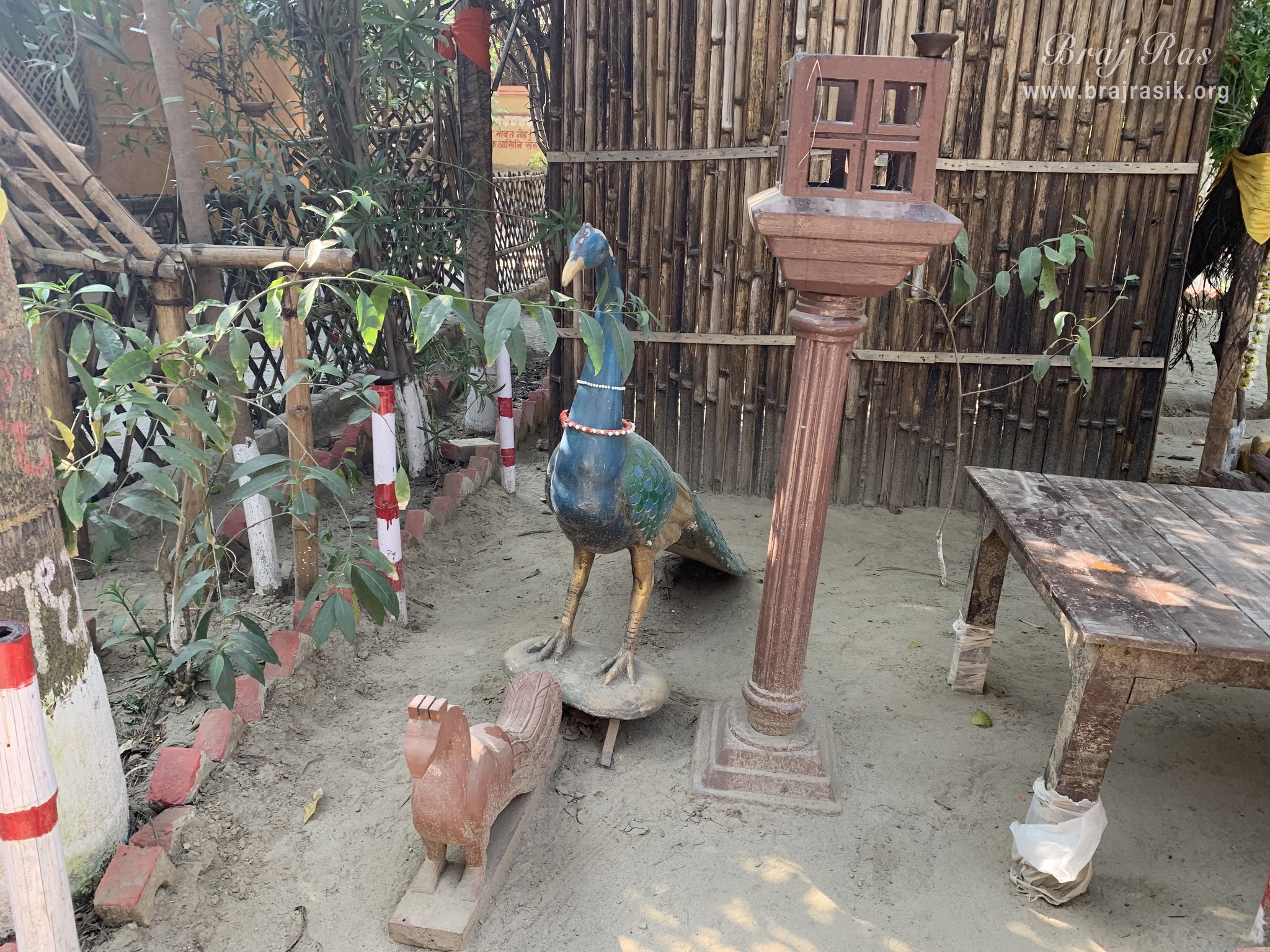 View of a peacock statue inside Nikunj Van at Shri Anandam Dham, Vrindavan.