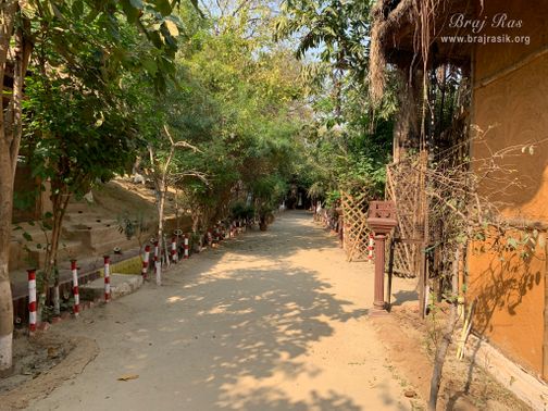 View of a beautiful path inside Nikunj Van at Shri Anandam Dham, Vrindavan.