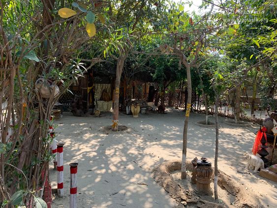 A calm view of Nikunj Van at Shri Anandam Dham, Vrindavan.
