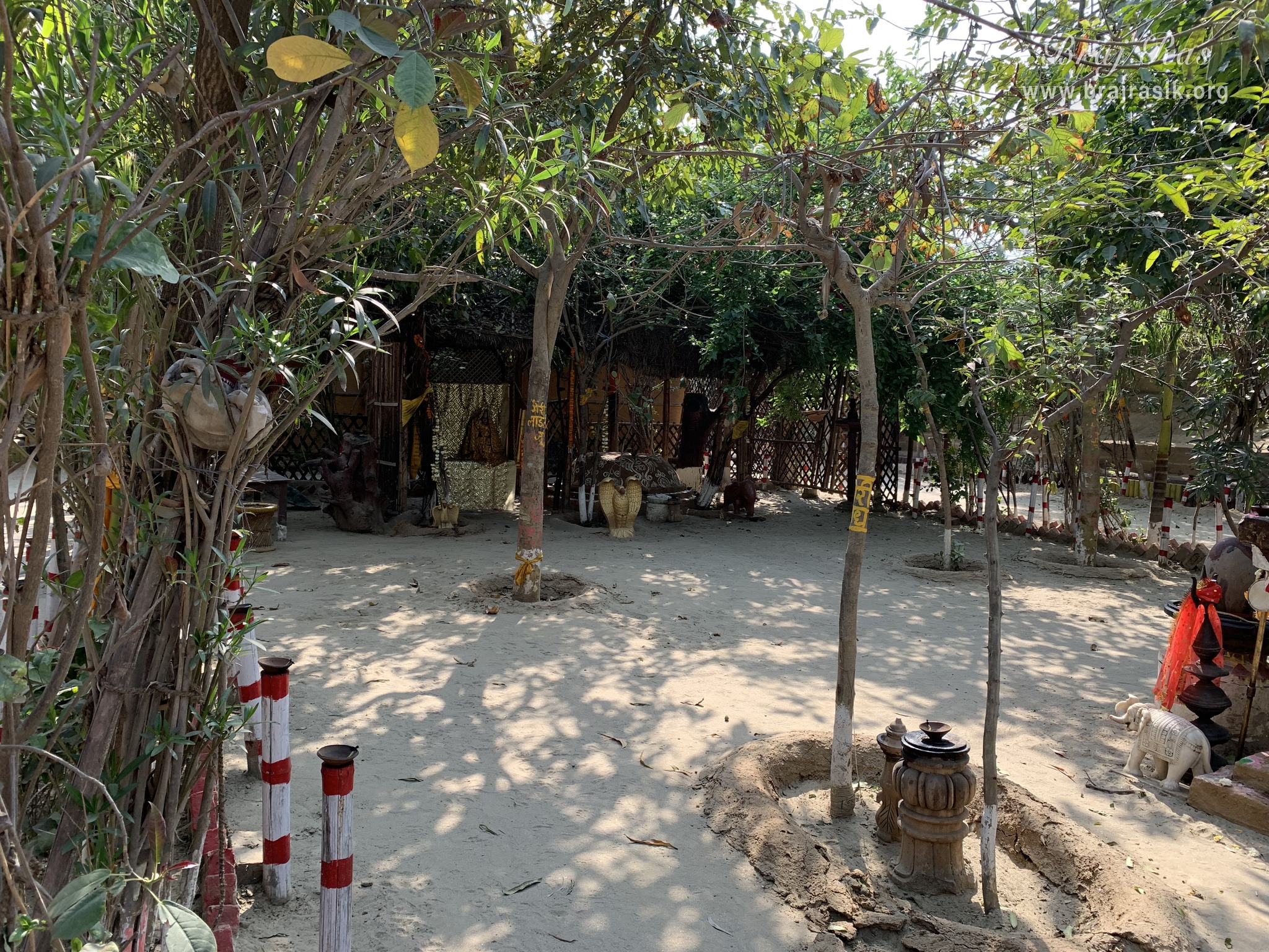 A calm view of Nikunj Van at Shri Anandam Dham, Vrindavan.