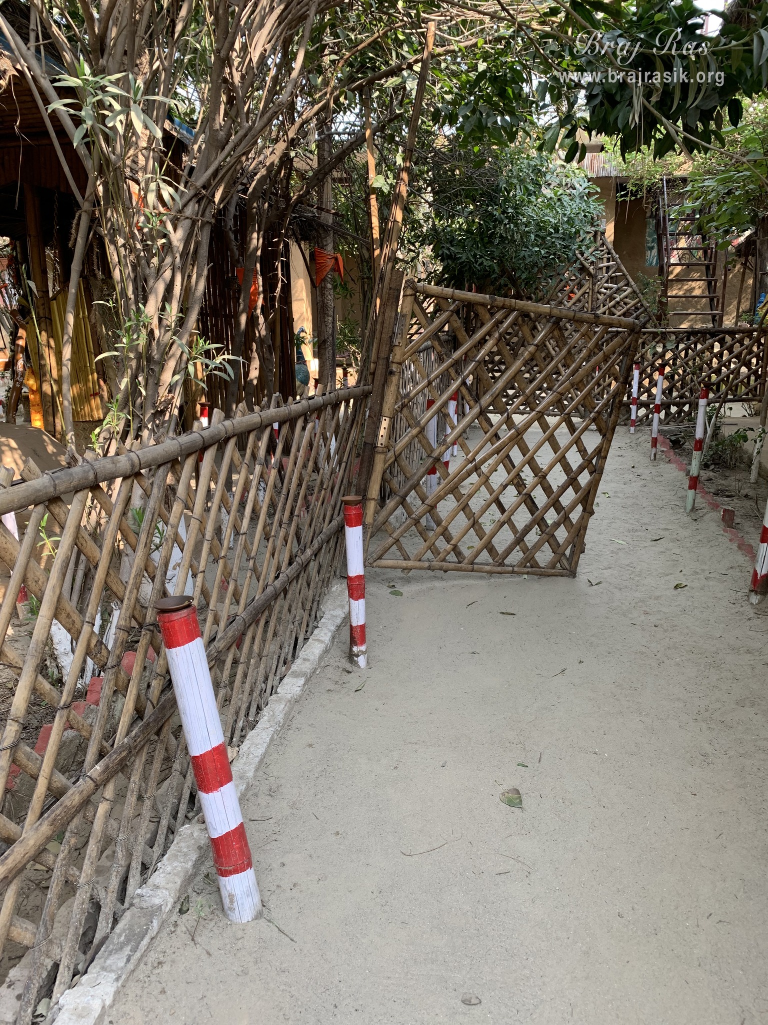 View of beautiful bamboo fencing inside Nikunj Van at Shri Anandam Dham, Vrindavan.