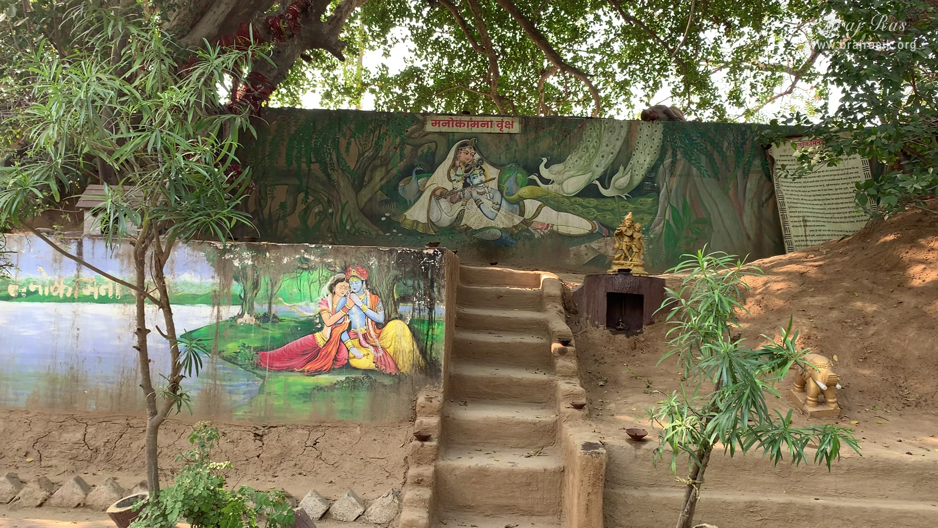 Darshan of Manokamna Vriksh (wish-fulfilling tree) inside Nikunj Van at Shri Anandam Dham, Vrindavan.