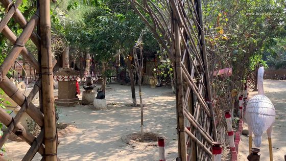 A soothing view of Nikunj Van at Shri Anandam Dham, Vrindavan.