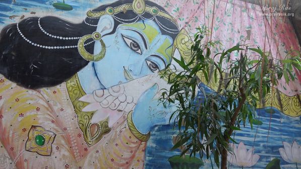 Shri Krishna holding the Lotus Feet of Shri Radha is depicted on a wall inside Nikunj Van at Shri Anandam Dham, Vrindavan.