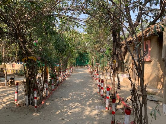 A Nikunj Van path at Shri Anandam Dham, Vrindavan.