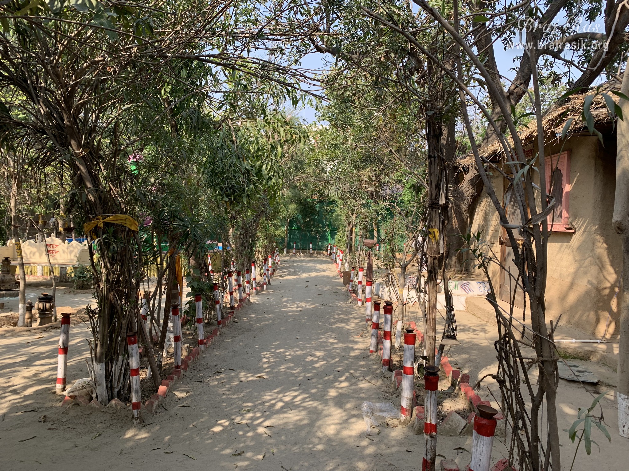 A Nikunj Van path at Shri Anandam Dham, Vrindavan.