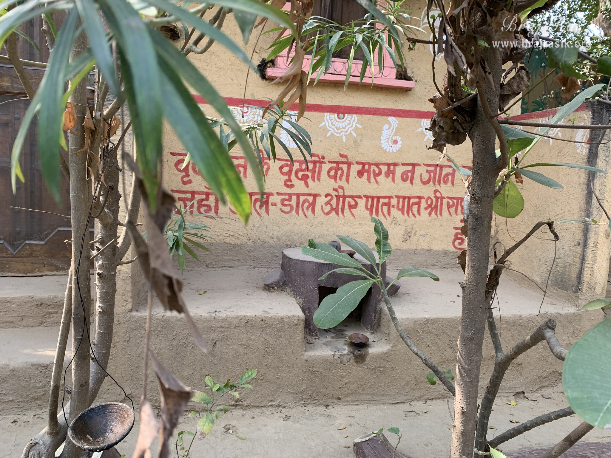 A couplet is written on a wall inside Nikunj Van at Shri Anandam Dham, Vrindavan -    "Vrindavan Ke Vriksh Ko Marham Na Jane Koi, Yahan Daal Daal Aur Paat Paat Pe Shri Radhey Radhey Hoe" - Braj Rasik   No one knows the true glory of a tree of Vrindavan because every branch and leaf are irrigated by the name “Radhey”.