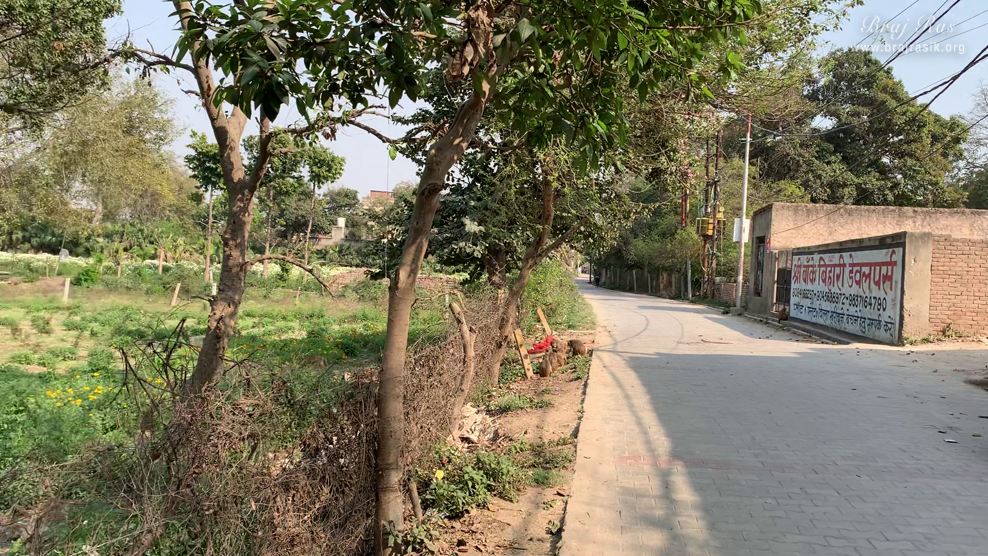 The path leading to Vrindavan Parikrama Marg from Nikunj Van at Shri Anandam Dham.