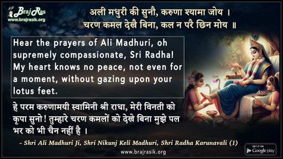 अली मधुरी की सुनौ, करुणा श्यामा जोय - श्री अली माधुरी जी, श्री निकुंज केलि माधुरी, श्री राधा करुणावली (1)