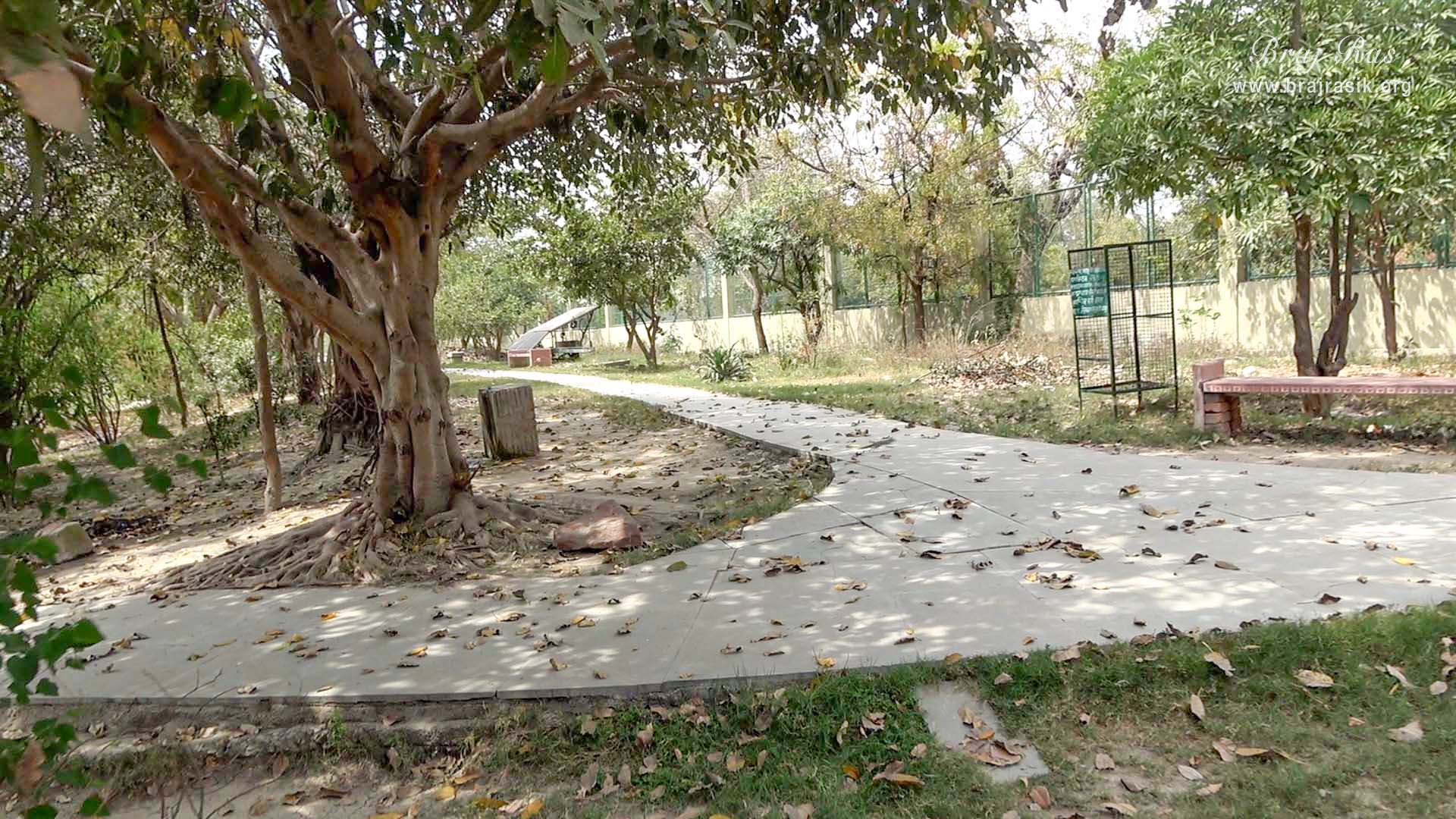 जैंत में जयकुंड के परिक्रमा पथ का दृश्य।