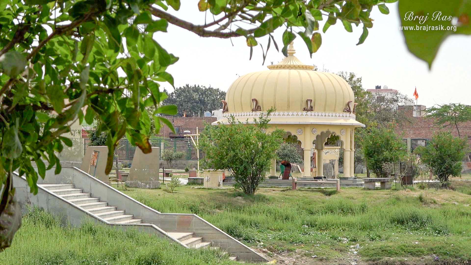 जैंत में जय कुंड स्थित कालिया नाग मंदिर का दूर का दृश्य।