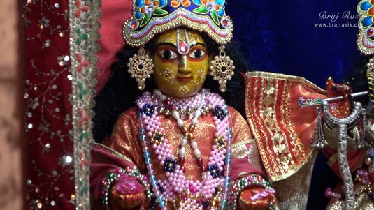 Darshan of Sri Chaitanya Mahaprabhu, the worshipful deity of Shri Loknath Goswami, in Shri Radha Gokulanand Temple, Vrindavan.