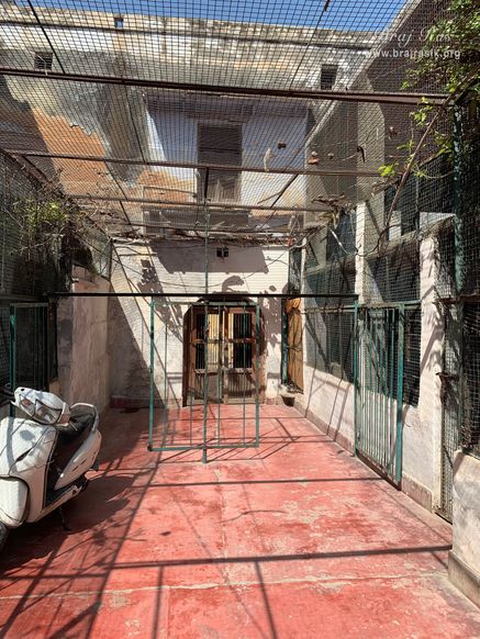 A path leading to the deity darshan in Shri Radha Gokulanand Temple, Vrindavan.