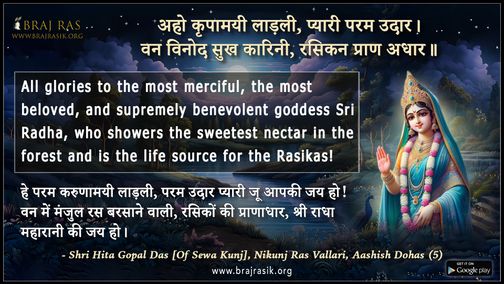 Aho Kripamayi Ladali - Shri Hita Gopal Das [Of Sewa Kunj], Nikunj Ras Vallari, Aashish Dohas (5)