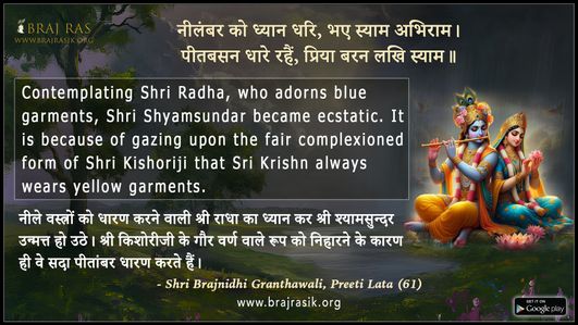 नीलंबर को ध्यान धरि - श्री ब्रजनिधि ग्रंथावली, प्रीति लता (61)