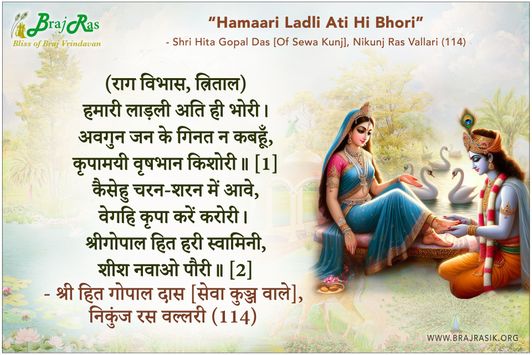 Hamaari Ladli Ati Hi Bhori - Shri Hita Gopal Das [Of Sewa Kunj], Nikunj Ras Vallari (114)