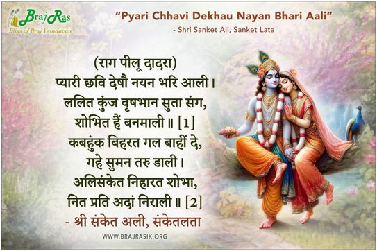 Pyari Chhavi Dekhau Nayan Bhari Aali - Shri Sanket Ali, Sanket Lata (71)