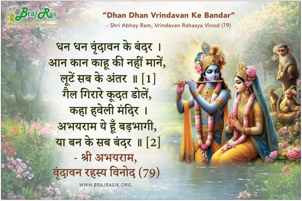 धन धन वृंदावन के बंदर - श्री अभयराम, वृंदावन रहस्य विनोद (79)