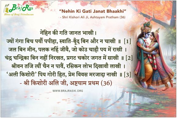 Nehin Ki Gati Janat Bhaakhi - Shri Kishori Ali Ji, Ashtayam Pratham (36)