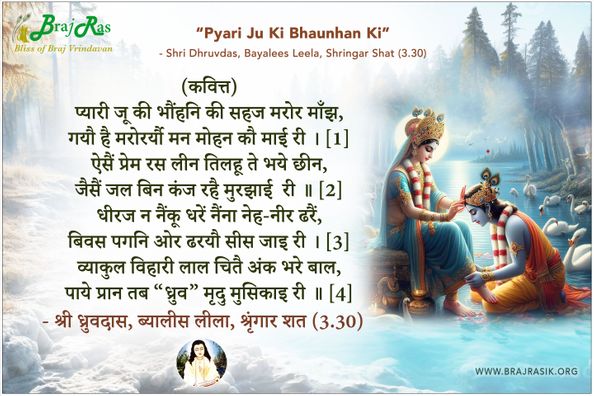 प्यारी जू की भौंहनि की - श्री ध्रुवदास, बयालीस लीला, श्रृंगार शत 3 (30)