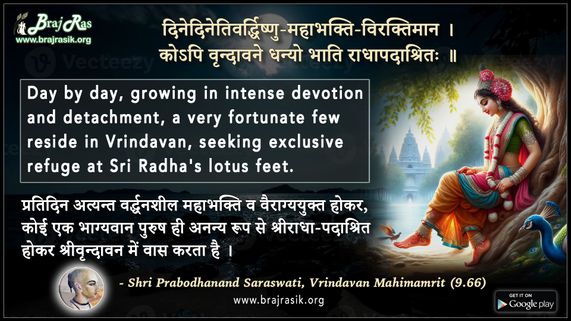 दिने दिने तिवर्द्धिष्णु - श्री प्रबोधानन्द सरस्वती, वृन्दावन महिमामृत (9.66)
