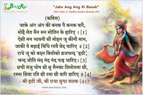 जाके अंग अंग की बनक पै कनक वारै - श्री हठी जी, श्री राधा सुधा शतक (41)