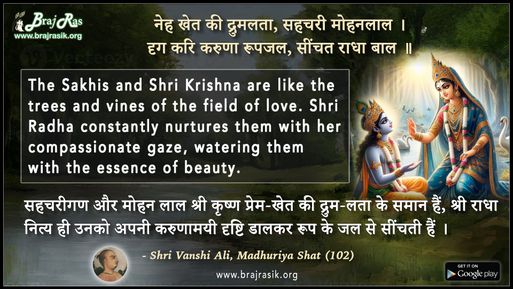नेह खेत की द्रुमलता, सहचरी मोहनलाल  - श्री वंशी अलि, माधुर्य शत (102.1)