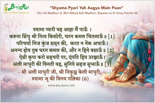 Shyama Pyari Yeh Aagya Main Paun - Shri Ali Madhuri Ji, Shri Nikunj Keli Madhuri, Shyama Ju Ki Vinay Patrika (6)
