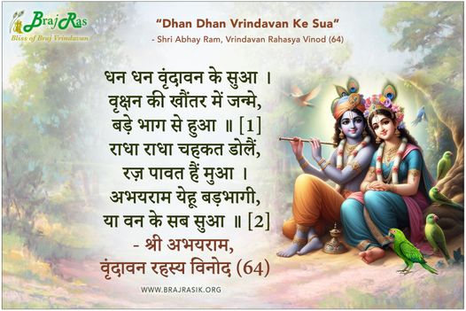 धन धन वृंदावन के सुआ  - श्री अभयराम, वृंदावन रहस्य विनोद (64)