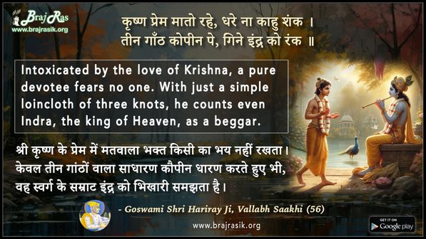 कृष्ण प्रेम मातो रहे, धरे ना काहु शंक - गोस्वामी श्री हरिराय जी, वल्लभ साखी (56)