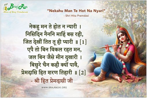नेकहु मन ते होत न न्यारी - श्री हित प्रेमदासी जी