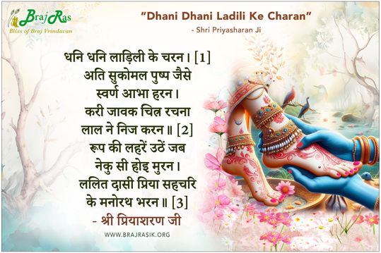 धनि धनि लाड़िली के चरन - श्री प्रियाशरण जी