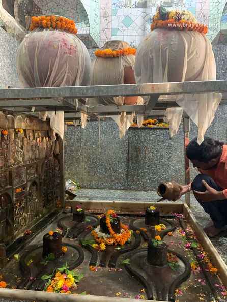 Darshan of Shri Chakreshwar Mahadev, Govardhan.