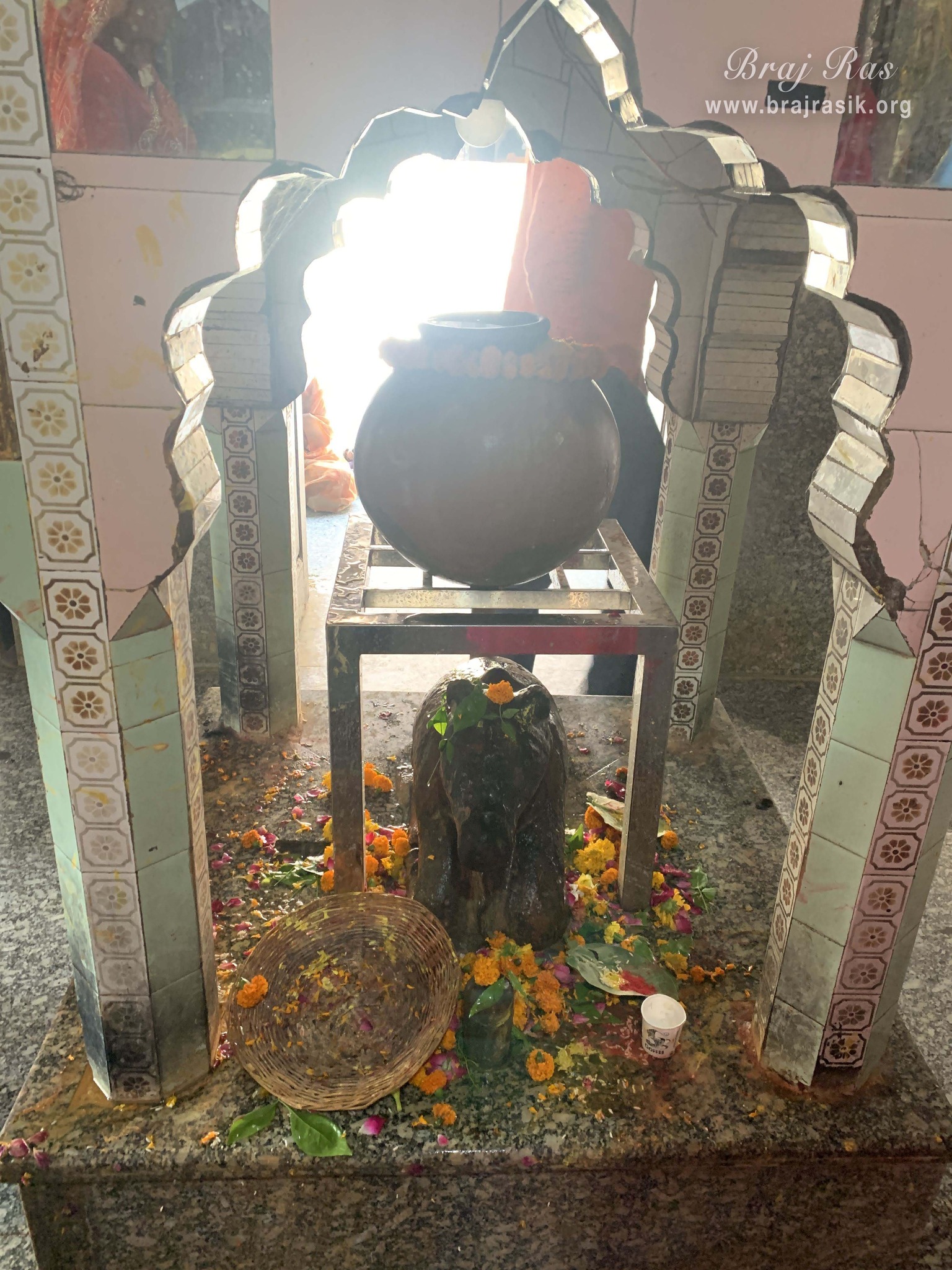 Darshan of Nandi in Shri Chakreshwar Mahadev Temple, Govardhan.