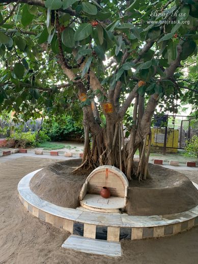Darshan of the birthplace of Shri Hita Harivansh Mahaprabhu in Baad Gram, Mathura.