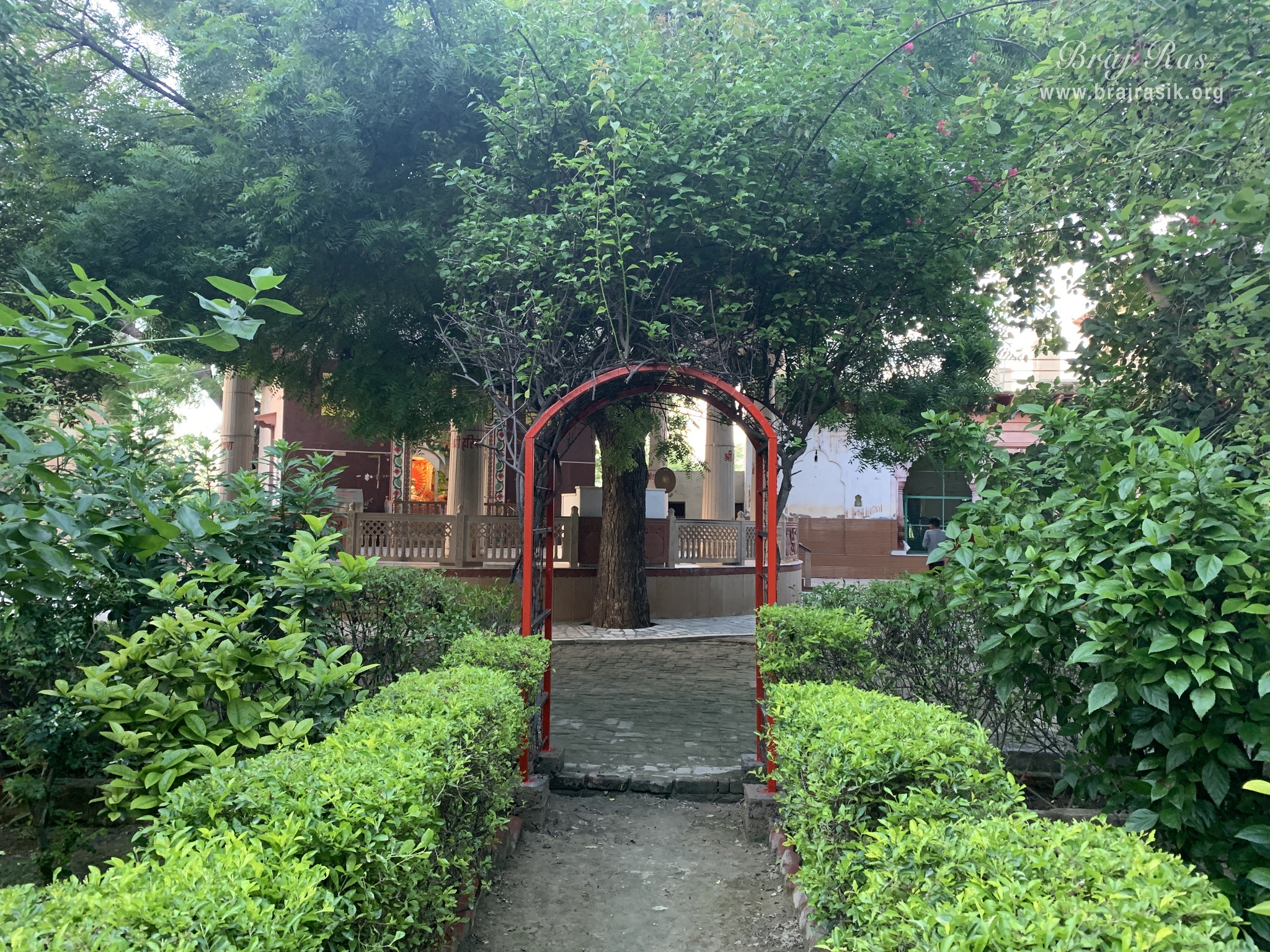 A beautiful path at the birthplace of Shri Hita Harivansh Mahaprabhu in Baad Gram, Mathura.