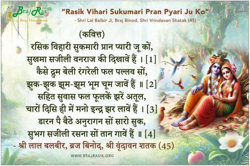 रसिक विहारी सुकमारी प्रान प्यारी जू कों - श्री लाल बलबीर जी, ब्रज बिनोद, वृन्दावन शतक (45)