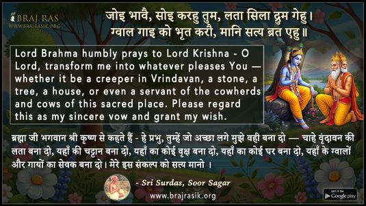 Joi Bhaavai Soi Karahu Tum Lata Sila Drum Gehu - Sri Surdas, Soor Sagar