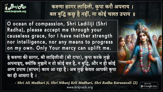 Karuna Sagar Ladili - Shri Ali Madhuri Ji, Shri Nikunj Keli Madhuri, Shri Radha Karunavali (2)